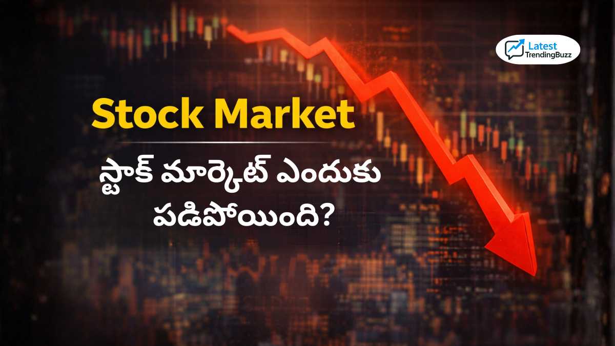 Stock Market